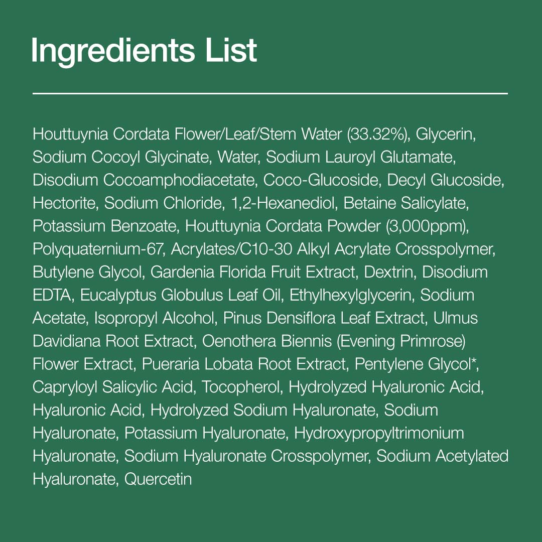 [ANUA] Heartleaf Quercetinol Pore Deep Cleansing Foam (5.07 fl.oz / 150ml)